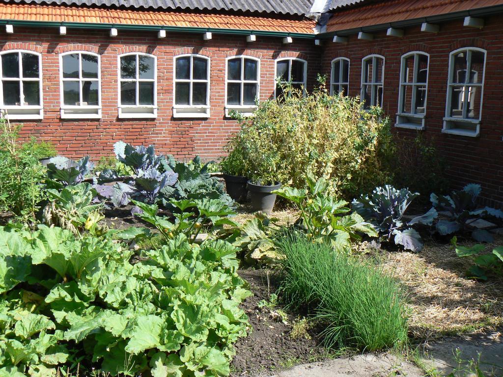 Groningen Buiten B&B Zuidhorn エクステリア 写真