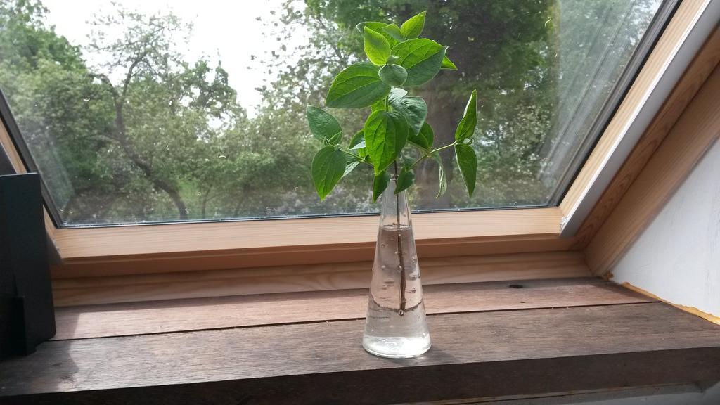 Groningen Buiten B&B Zuidhorn エクステリア 写真
