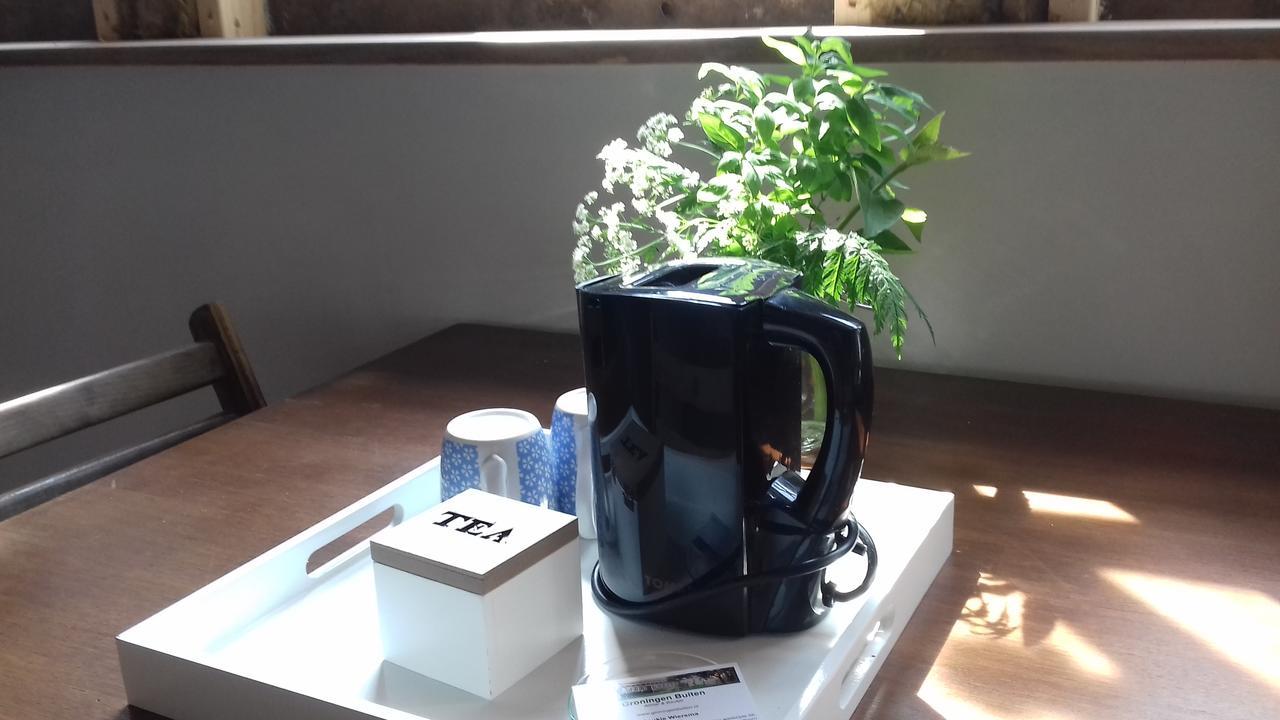 Groningen Buiten B&B Zuidhorn エクステリア 写真