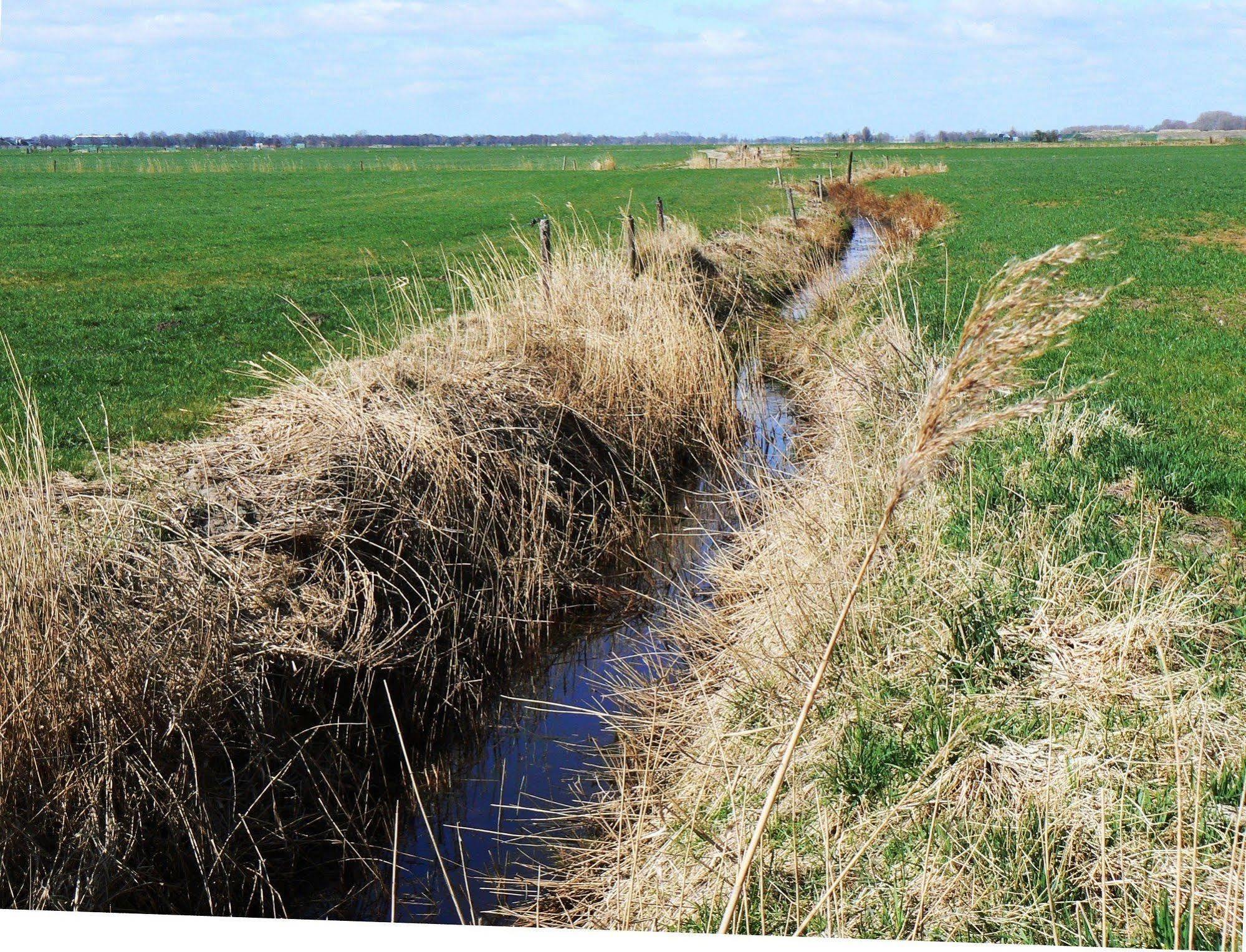 Groningen Buiten B&B Zuidhorn エクステリア 写真