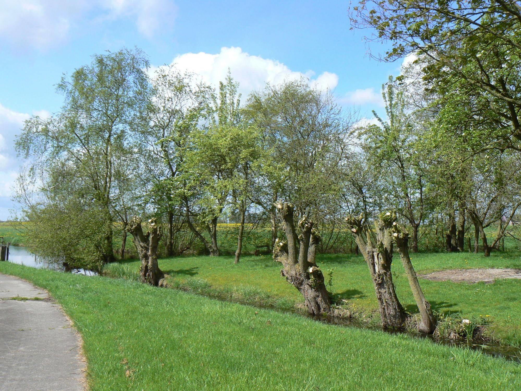 Groningen Buiten B&B Zuidhorn エクステリア 写真